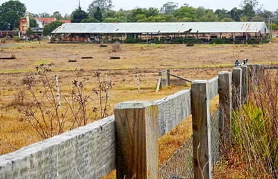 Menangle - Photo 5