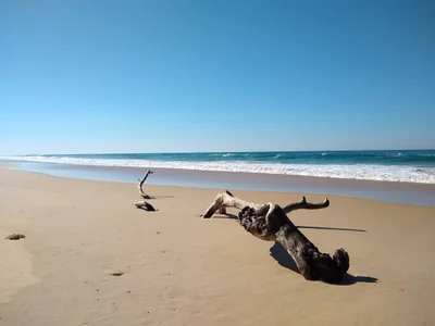 Mylestom - Photo 4