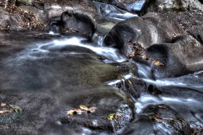 Whian Whian - Photo 2