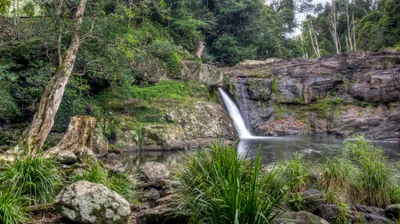 Whian Whian - Photo 3