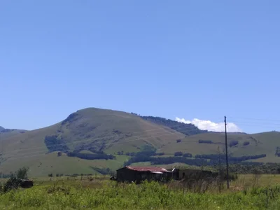 Ngwenya - Photo 2