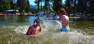 Post Falls - Photo 4