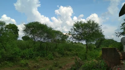 Narsinghpur - Photo 4
