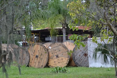 Plant City - Photo 3