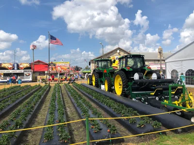 Plant City - Photo 4