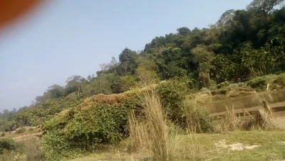 Williamnagar - Photo 4