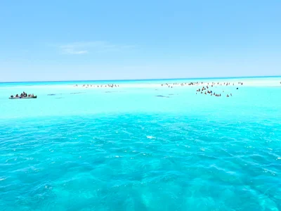 Ras Mohammed - Photo 4