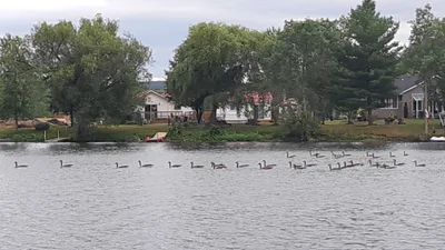 Quinte West - Photo 2