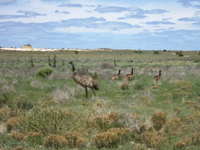 Mungo National Park - Photo 5