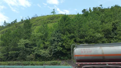 Dushan County - Photo 4