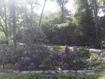 Glen Cove - Photo 4