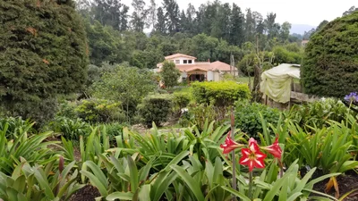 El Rosal - Photo 2