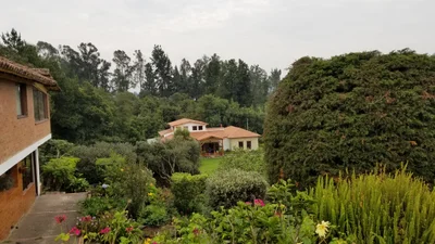 El Rosal - Photo 3