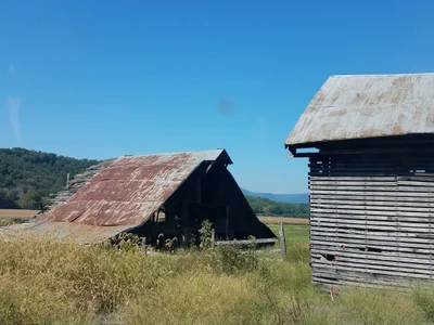 Eagle Rock - Photo 5