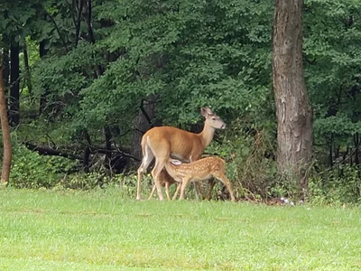 Hillsborough Township - Photo 2