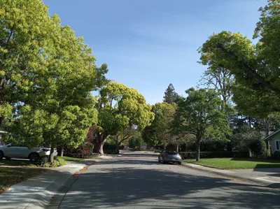 Menlo Park - Photo 2
