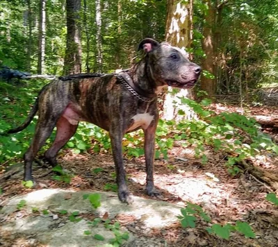 Conyers - Photo 4