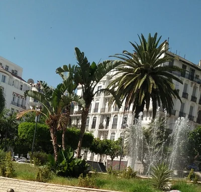 Alger Centre - Photo 3