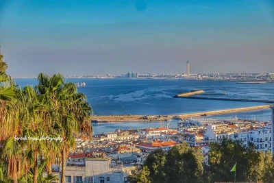 Alger Centre - Photo 4