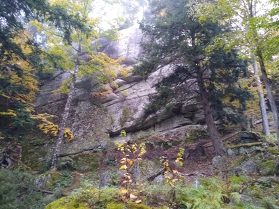 Keene Valley - Photo 3