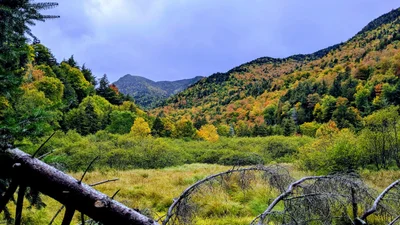 Keene Valley - Photo 5
