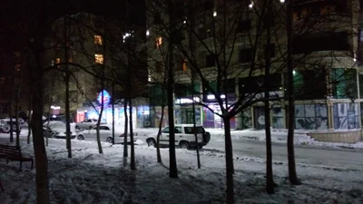 Masazir - Photo 3