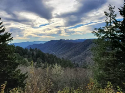 Great Smoky Mountains National Park - Photo 4