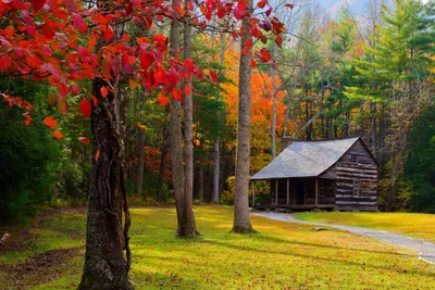 Great Smoky Mountains National Park - Photo 5