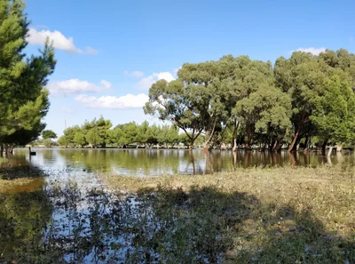 Ta' Qali - Photo 5
