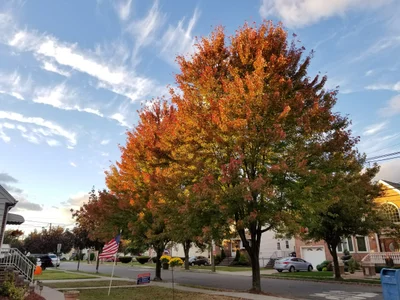 Secaucus - Photo 3