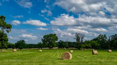 Warrenton - Photo 2