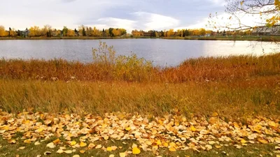 Airdrie - Photo 4