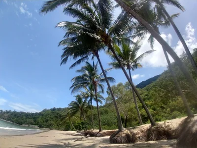 Ellis Beach - Photo 4