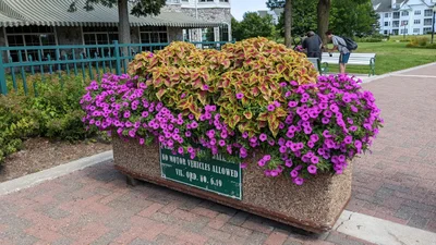 Elkhart Lake - Photo 5