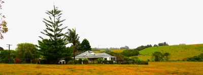Comboyne - Photo 4