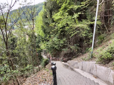 Langzhong - Photo 3