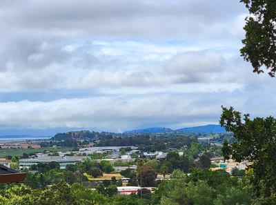 Novato - Photo 2