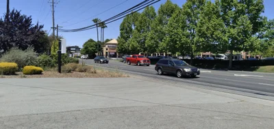 Novato - Photo 3