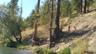 Nine Mile Falls - Photo 2
