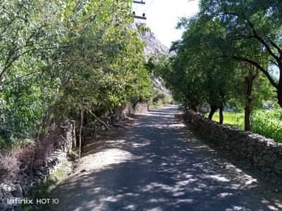 Gupis - Photo 2