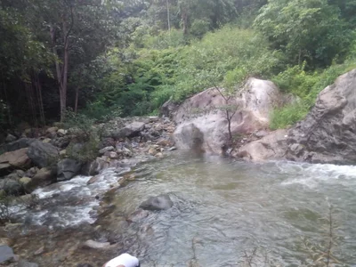 Karuvarakundu - Photo 4