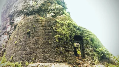 Karnala - Photo 4