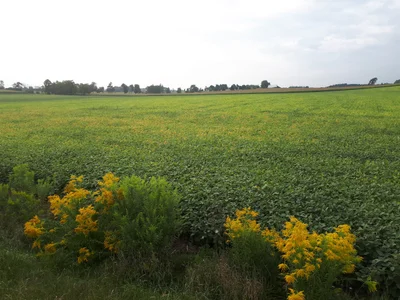 Guelph/Eramosa - Photo 3