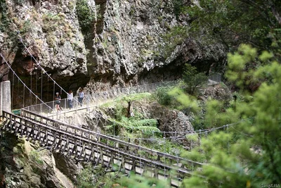 Karangahake - Photo 4