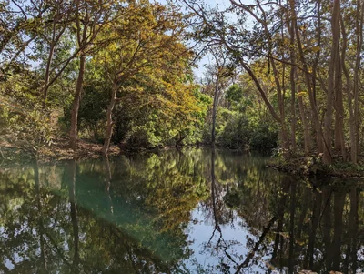 Panna Tiger Reserve - Photo 4
