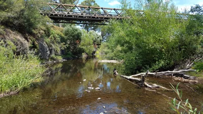 Judbury - Photo 2