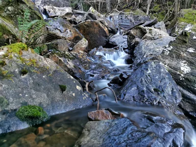 Judbury - Photo 4