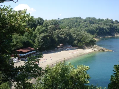 Duzce - Photo 3