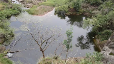 Samana - Photo 4