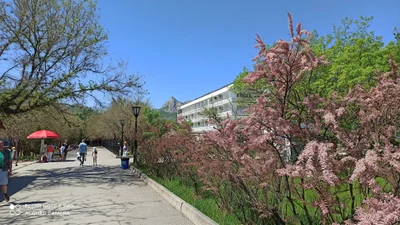 Koktebel - Photo 3